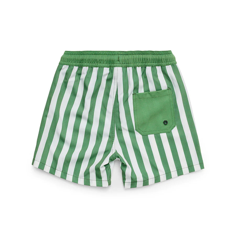 BOARD SHORT - Coastal Stripe