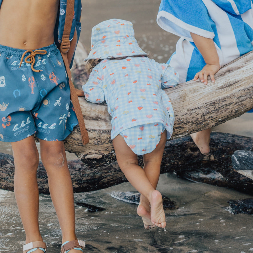 Reusable Swim Nappy - Lucky Picnic