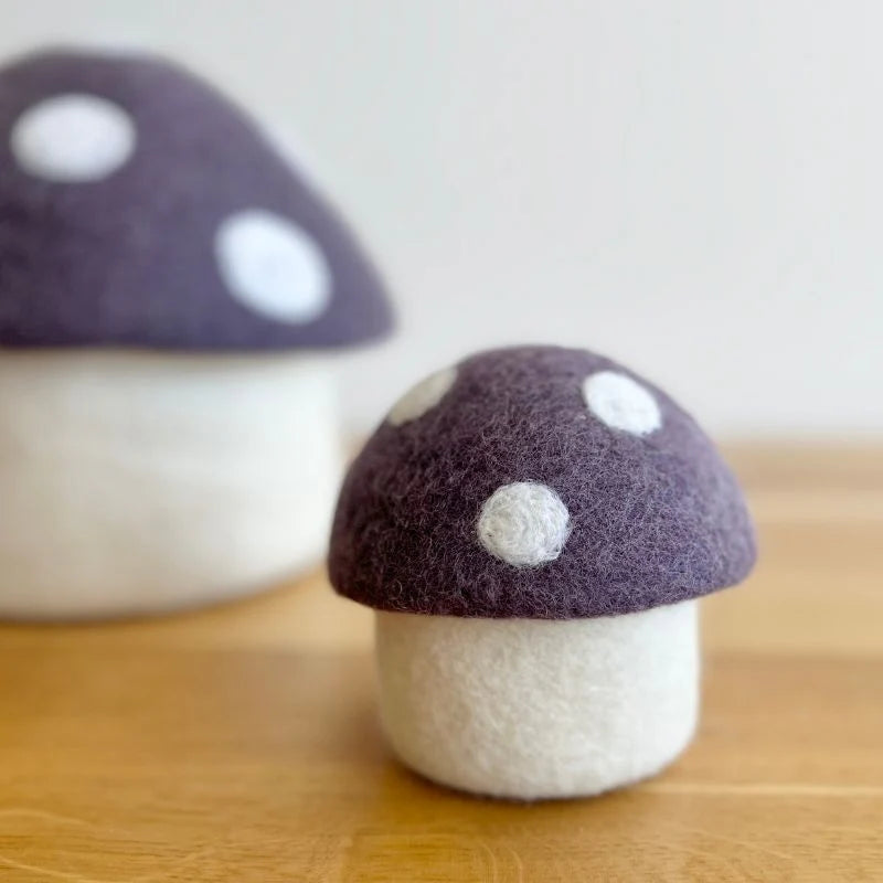 Mini Toadstool Trinket Box - 4 Colours