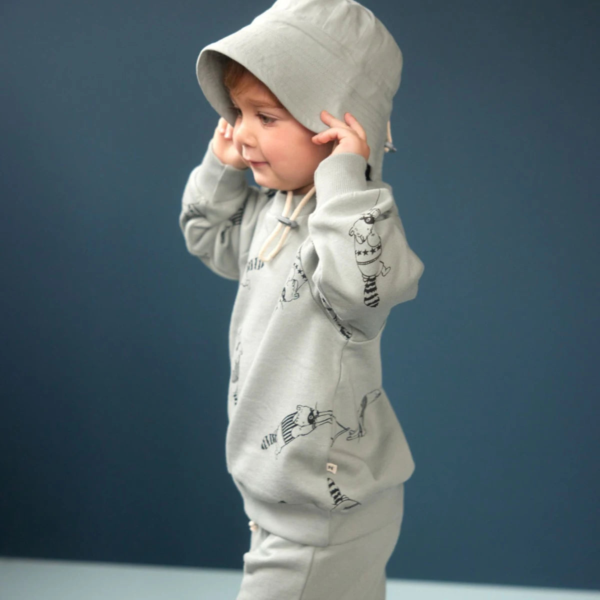 Emerson Sweater - RACCOON