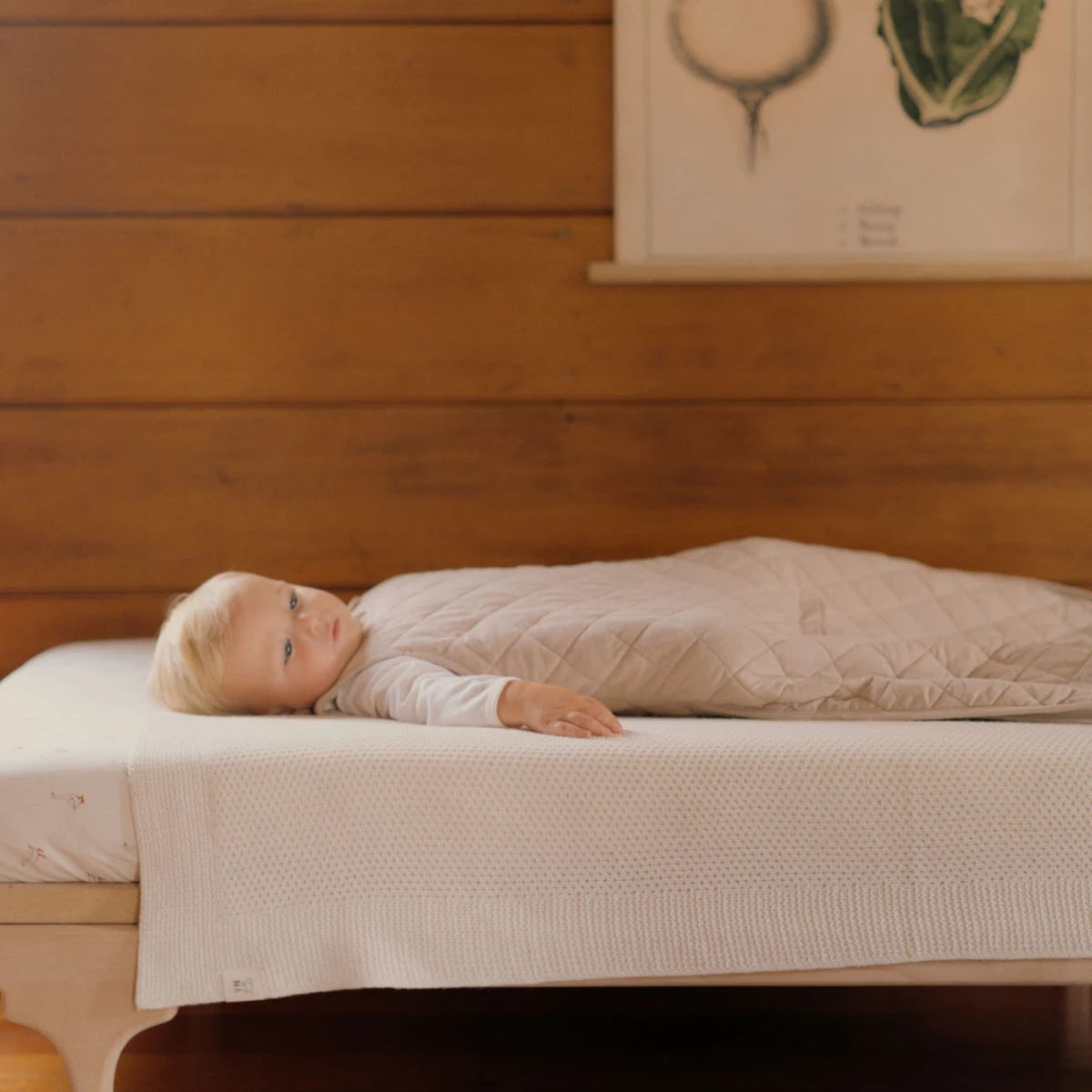 Quilted cotton & merino duvet sleeping bag - Feather