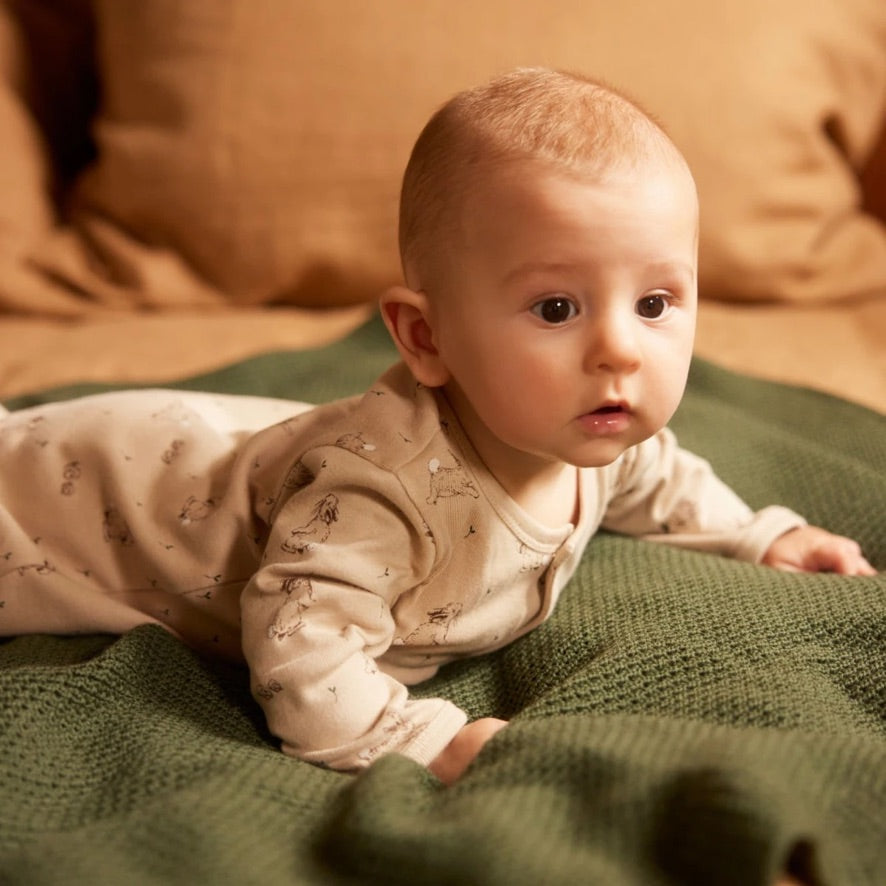 Merino knit Bassinet blanket - Thyme