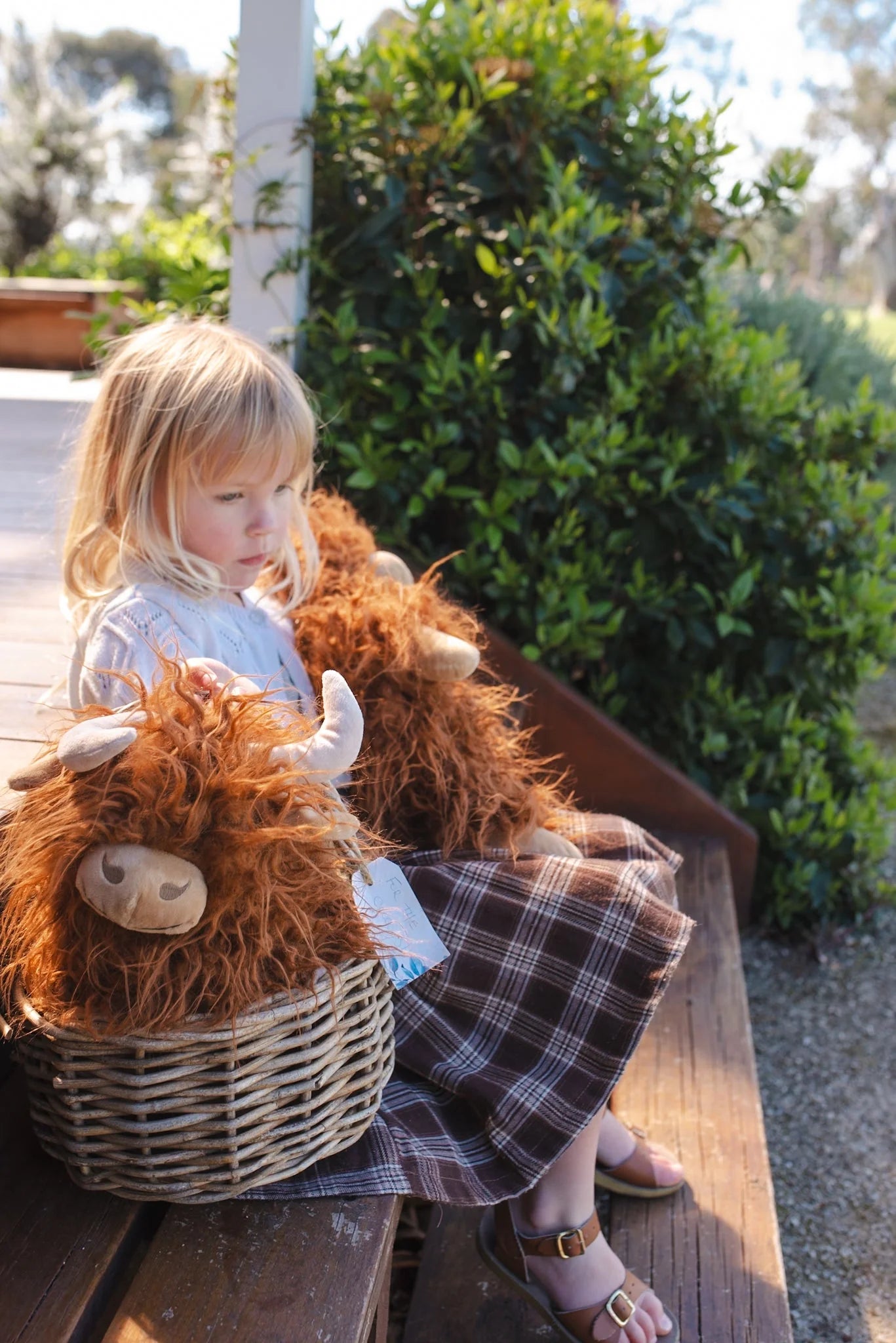 Heidi the Highland Cow - Rust