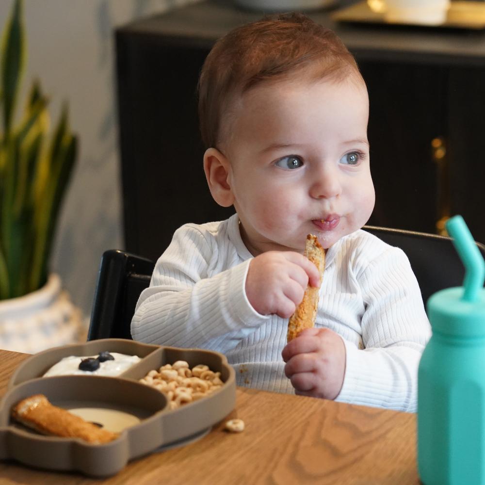 Melii Silicone Divided Suction Plate - Bear