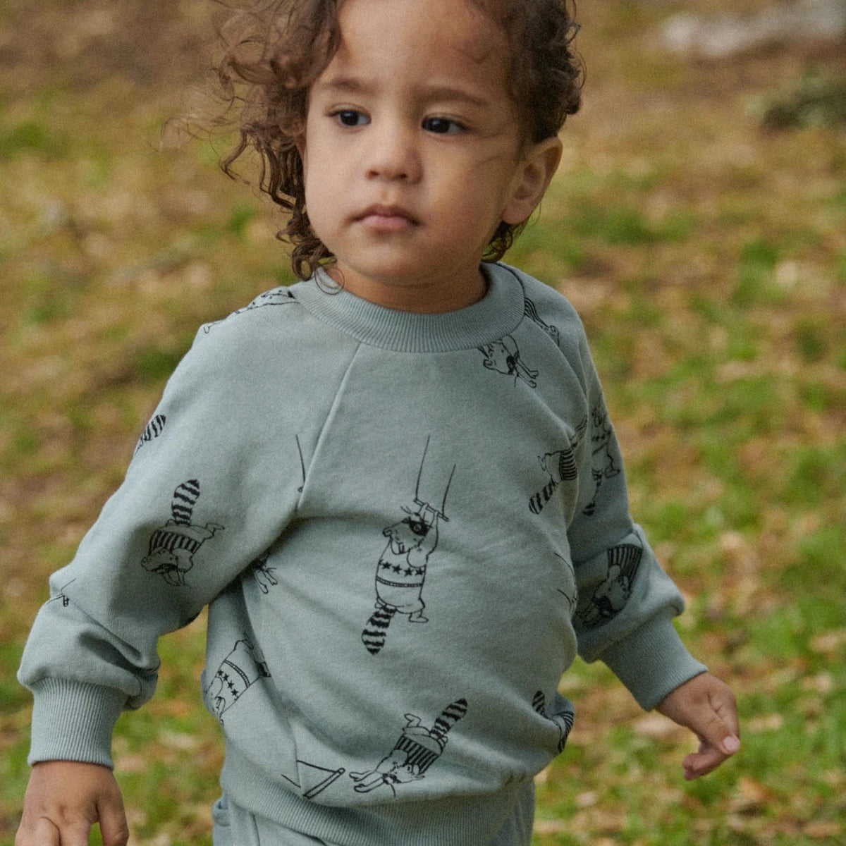 Emerson Sweater - RACCOON
