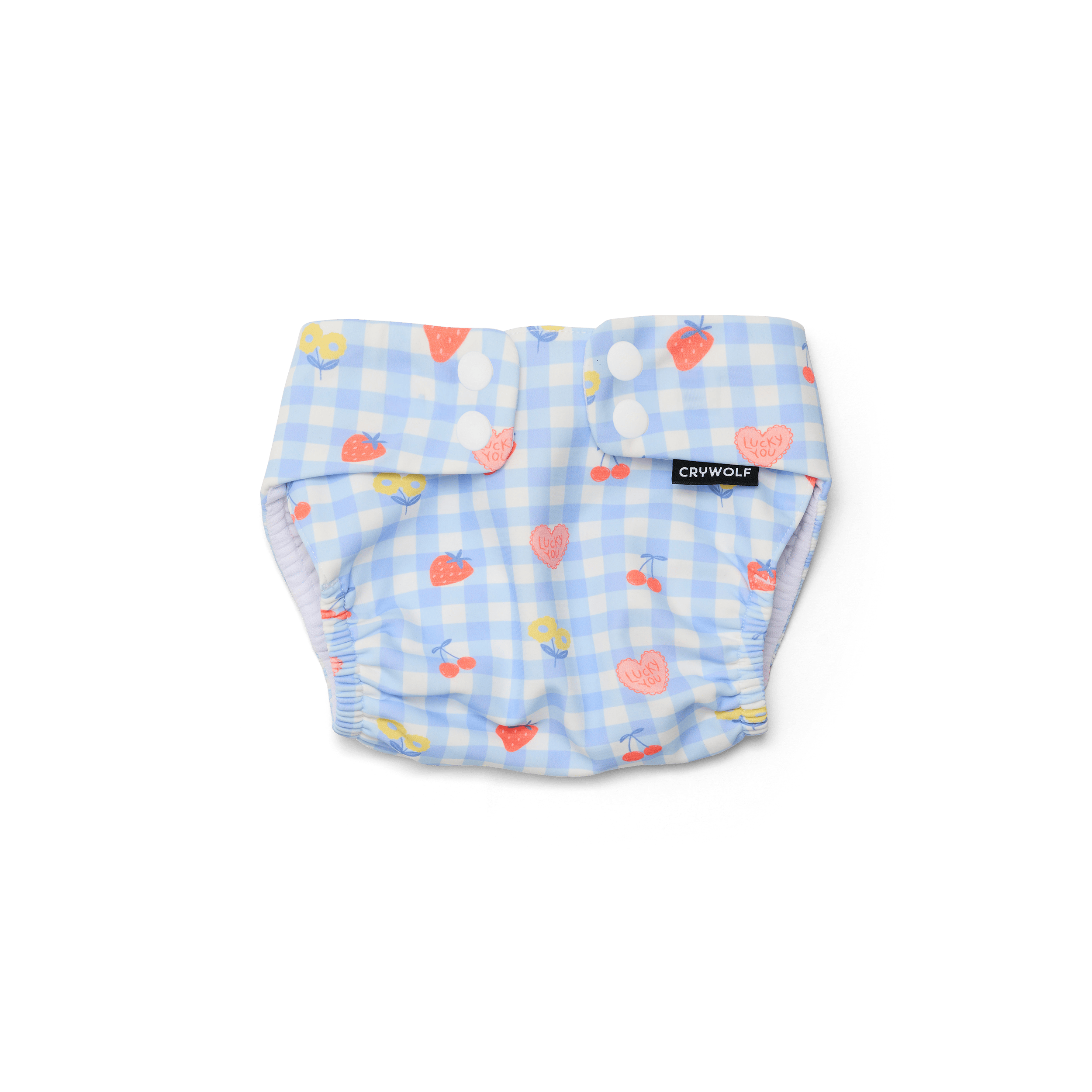 Reusable Swim Nappy - Lucky Picnic