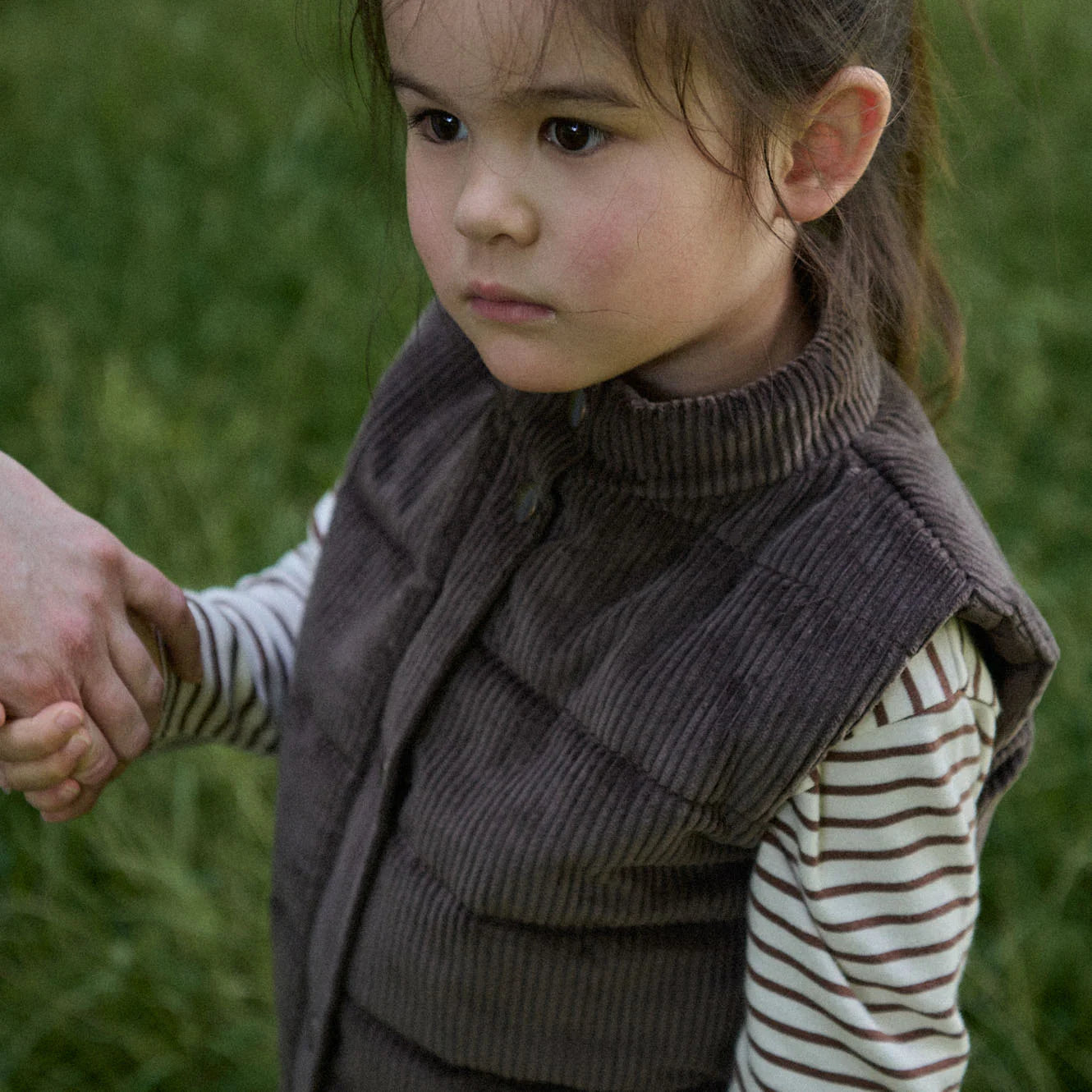 Abel Vest - Pinecone