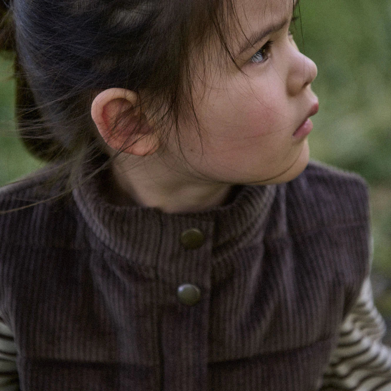 Abel Vest - Pinecone