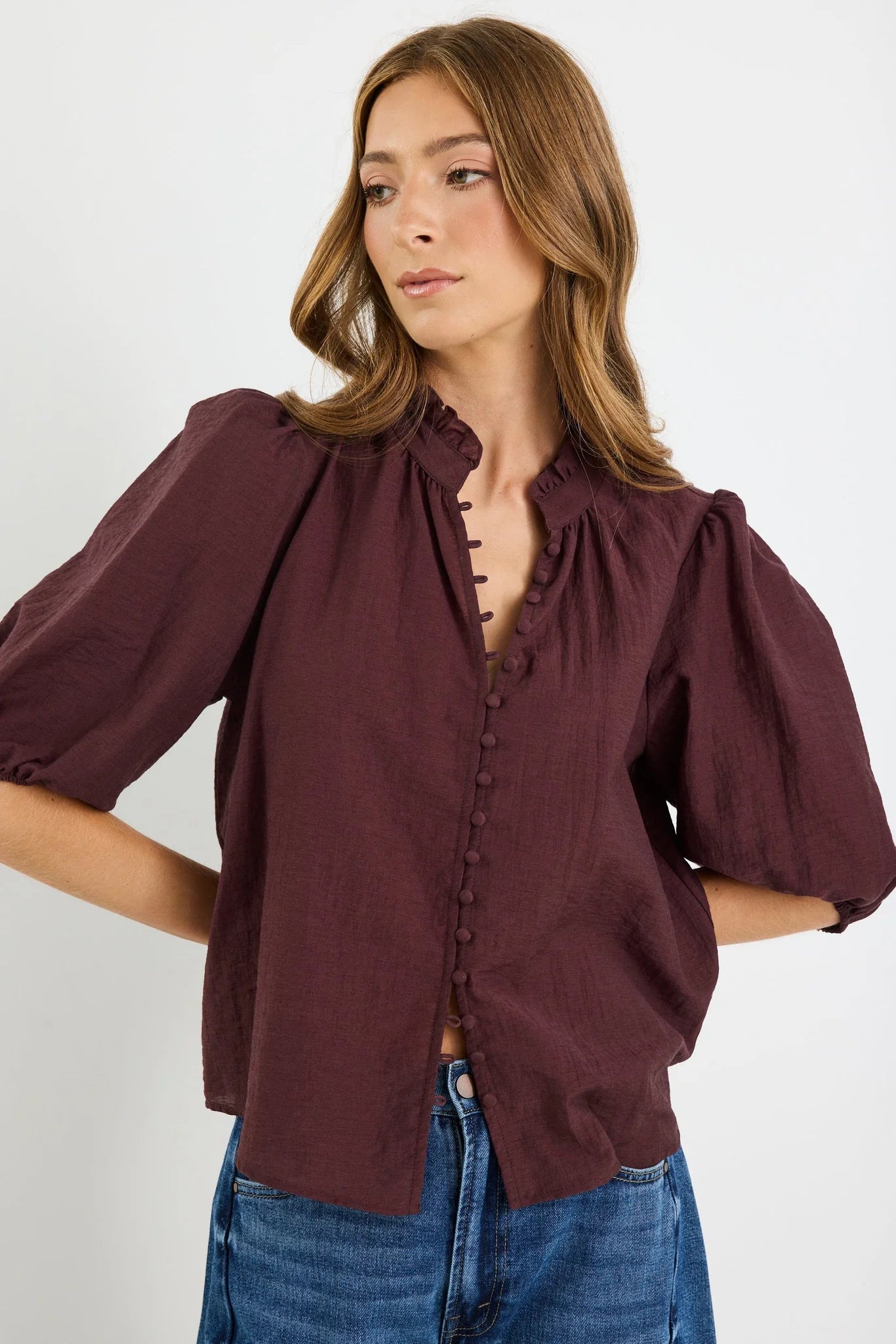 Continuance Chocolate Semi Sheer High Neck Buttoned Short Sleeve Top