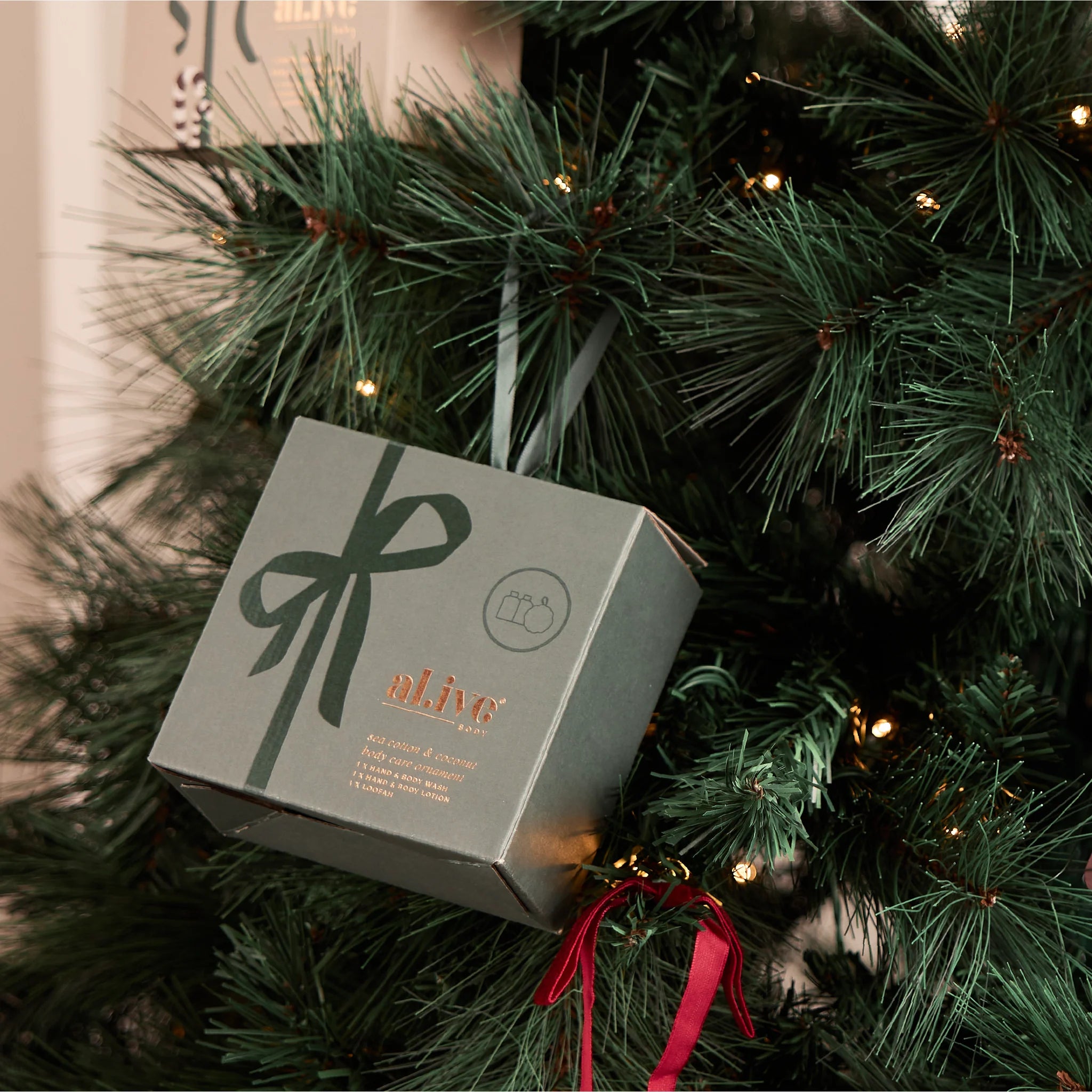 Body Care Ornament - Sea Cotton & Coconut