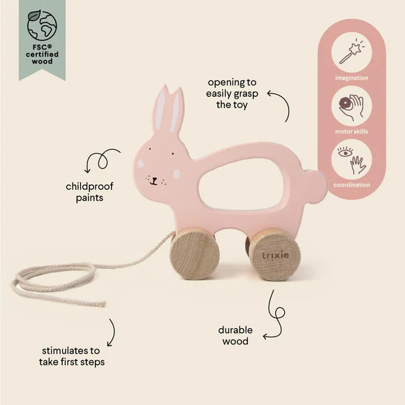 Trixie Wooden pull along toy - Mrs. Cat