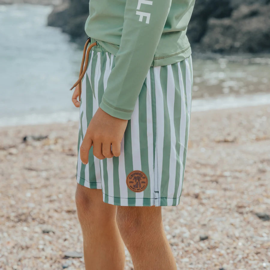 BOARD SHORT - Coastal Stripe