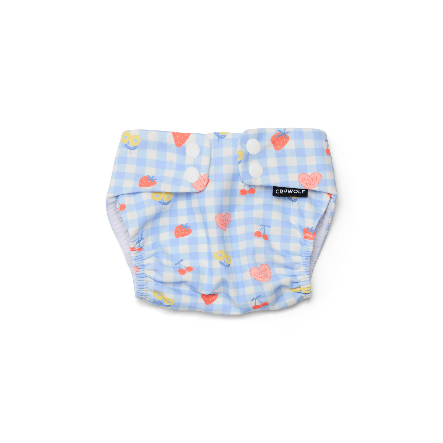 Reusable Swim Nappy - Lucky Picnic