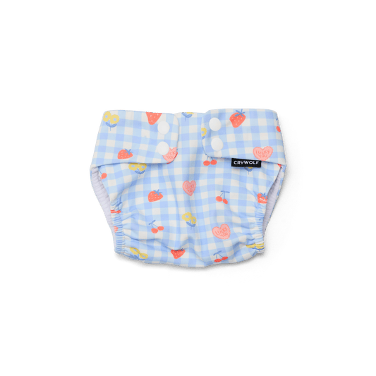 Reusable Swim Nappy - Lucky Picnic