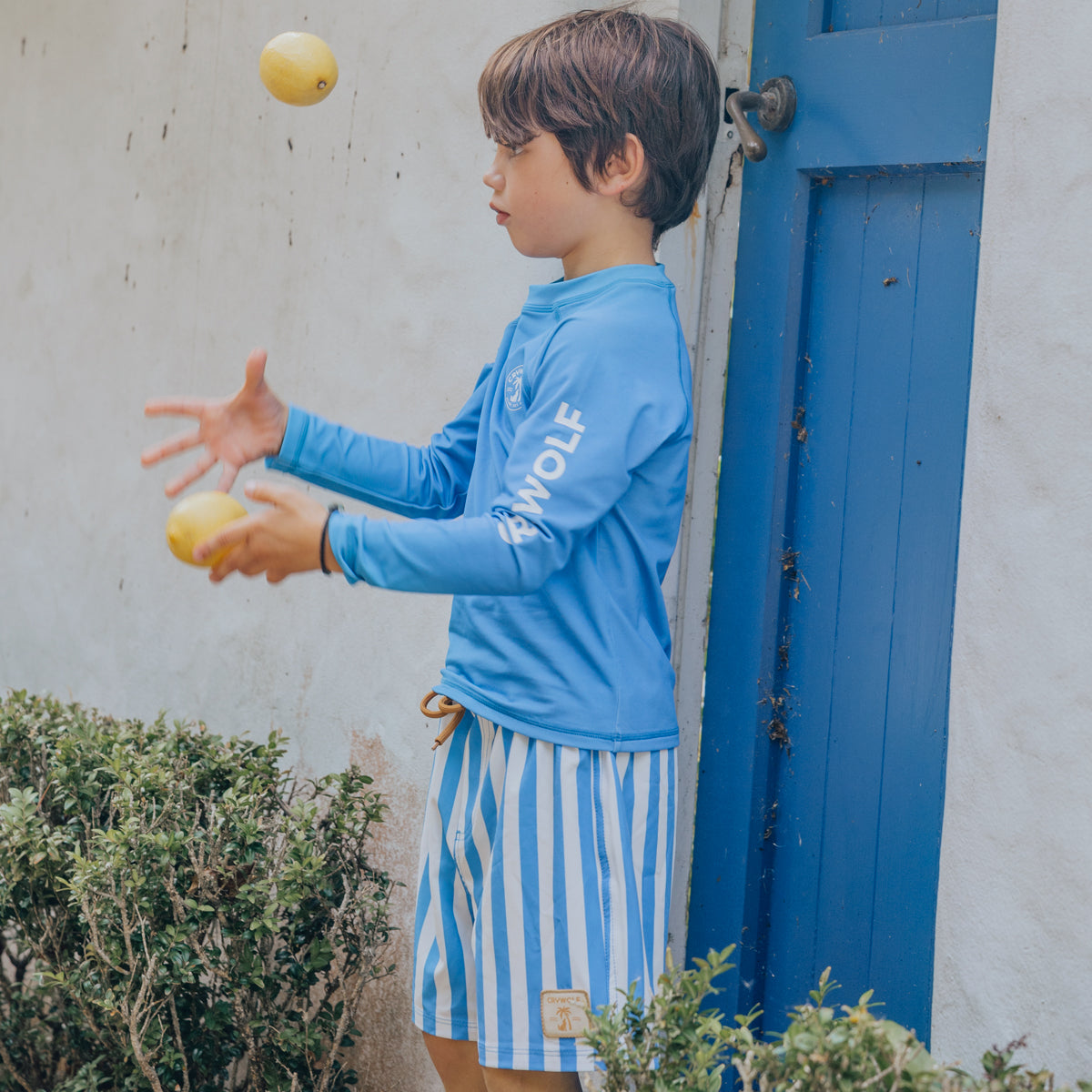 Board Short Deep Ocean Stripe