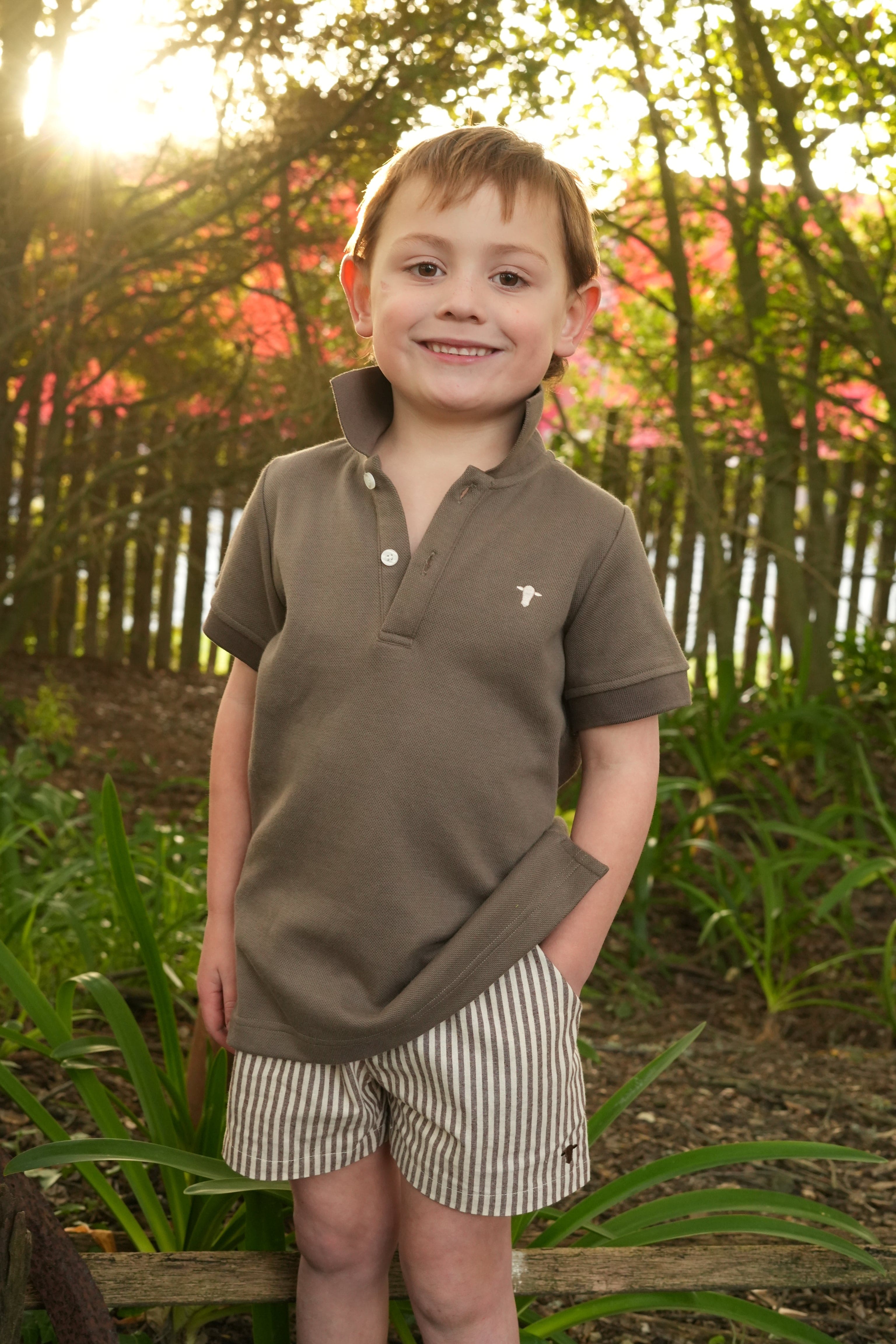 Stephen Shorts - Mocha Stripe