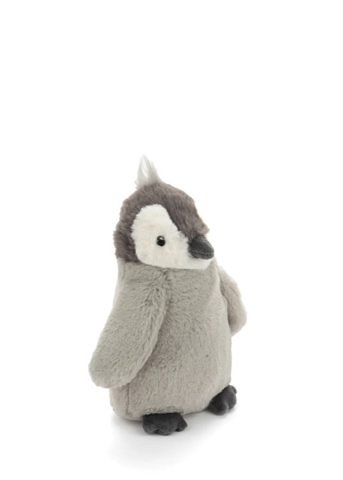 Paulo the Penguin