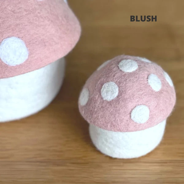 Mini Toadstool Trinket Box - 4 Colours