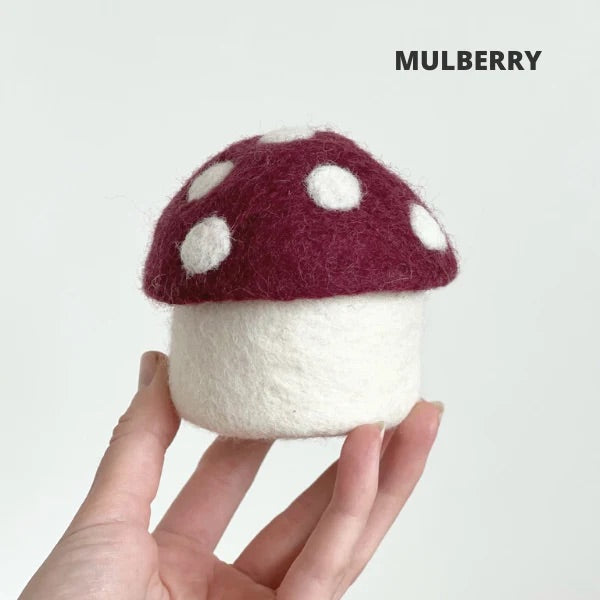 Mini Toadstool Trinket Box - 4 Colours