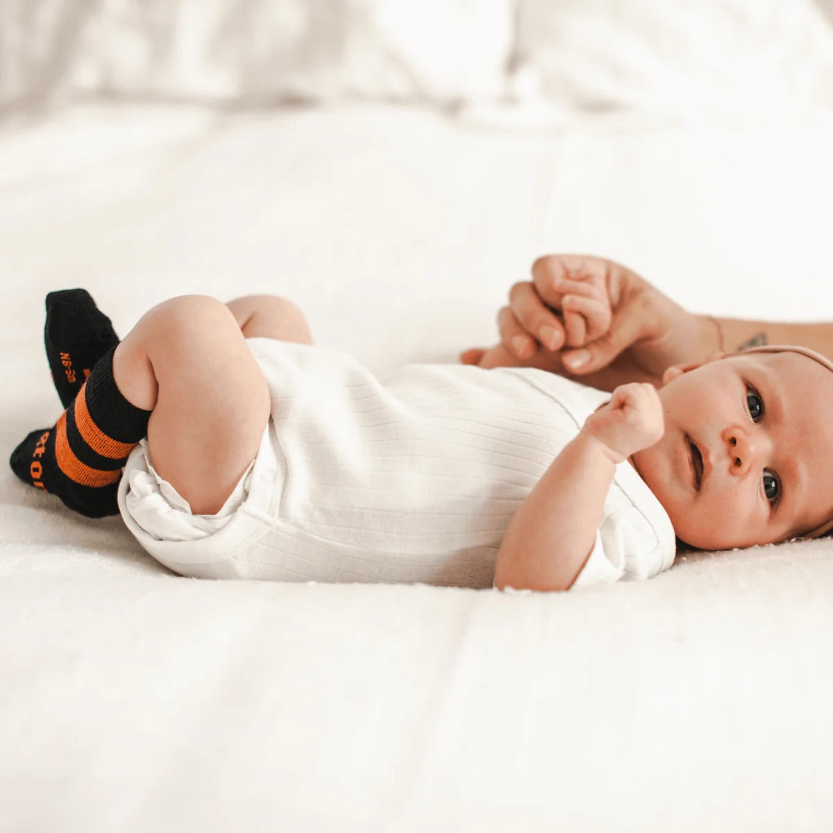 Merino Wool Crew Socks | Kaa